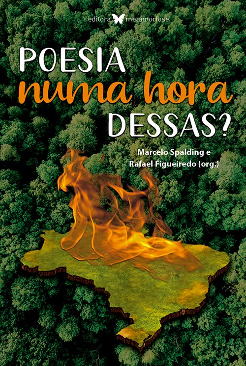 Poesia numa hora dessas?
