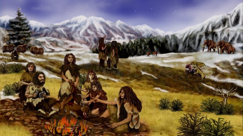 Homo Sapiens